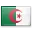 DZD سعر الدينار الجزائري 