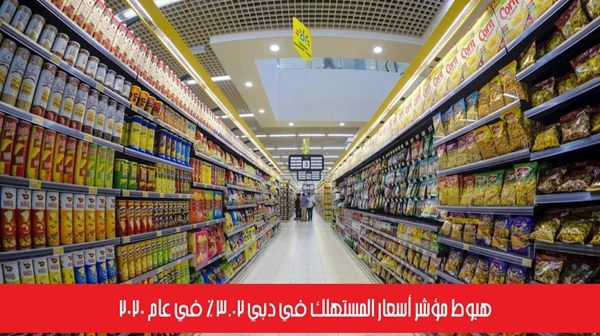 هبوط مؤشر أسعار المستهلك في دبي 3.02 % في عام 2020