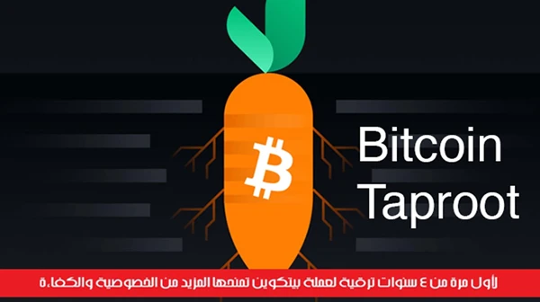 لأول مرة من 4 سنوات ترقية لعملة بيتكوين تمنحها المزيد من الخصوصية والكفاءة